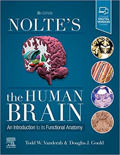 Nolte's The Human Brain 8th/2020