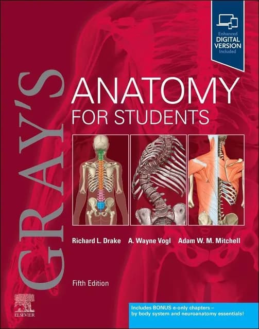 Grays Anatomy for Students 5th/2023 (US Edition)