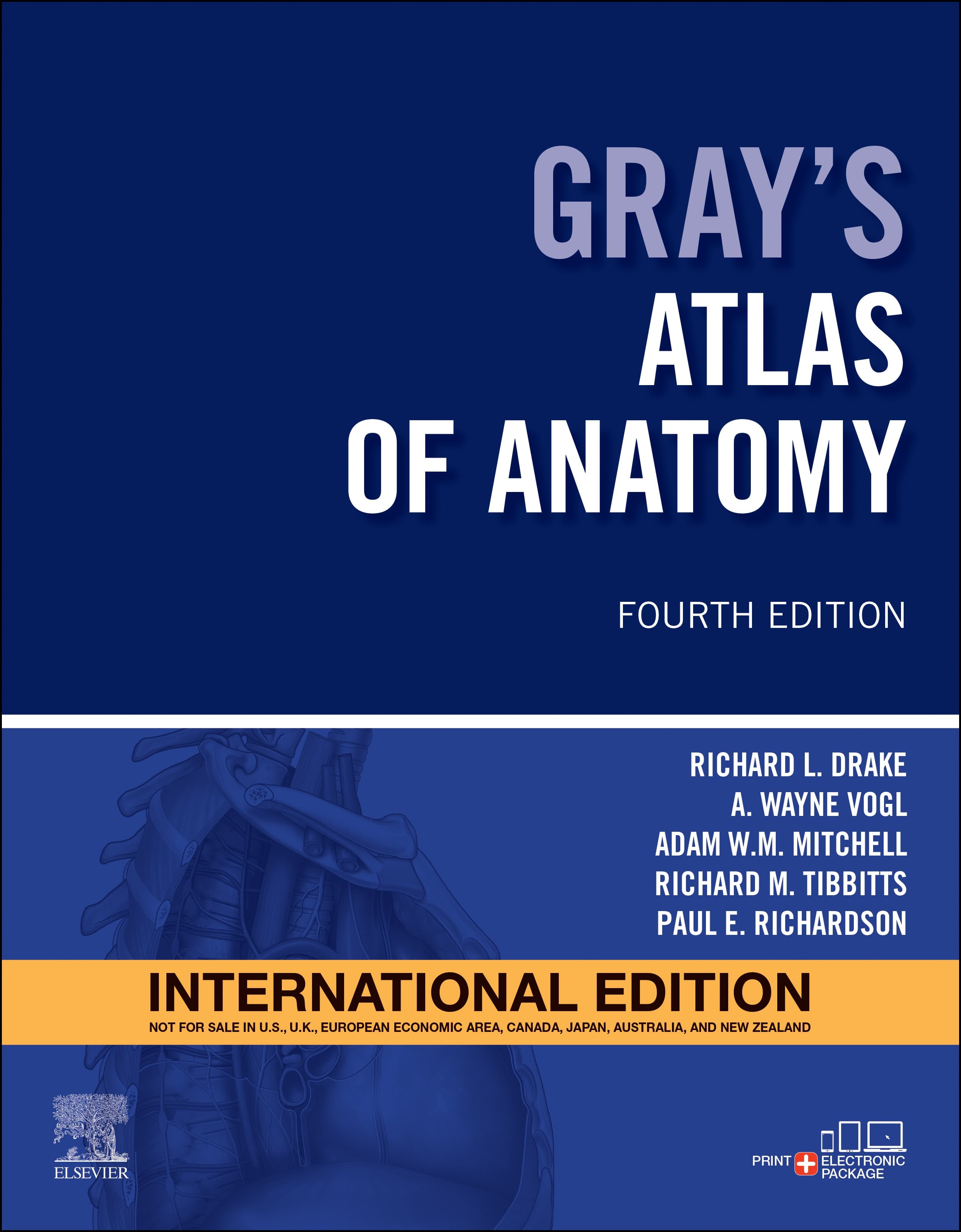 Grays Atlas of Anatomy 4th IE/2026
