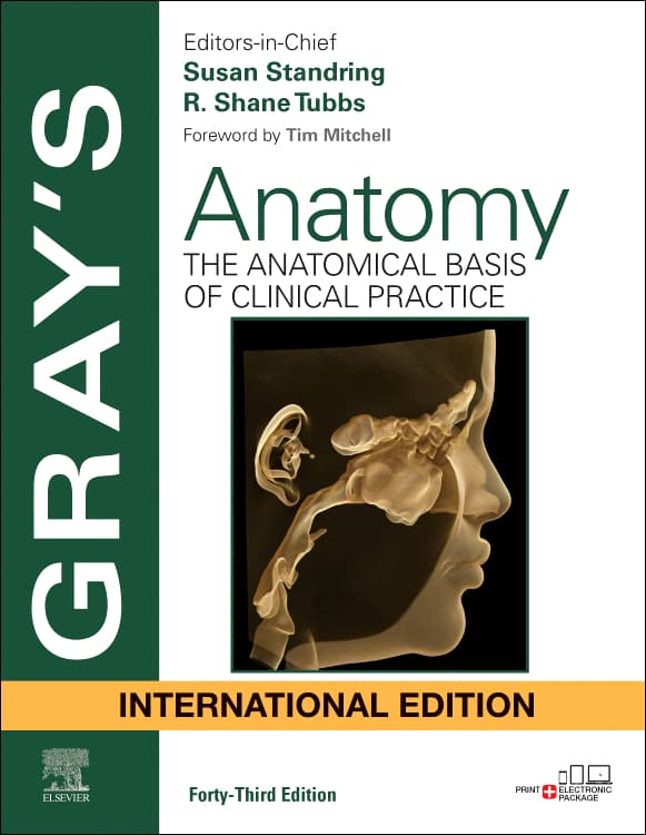 Grays Anatomy The Anatomical Basis of Clinical Practice 43rd IE/2026