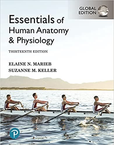 Essentials of Human Anatomy and Physiology 13th/2022