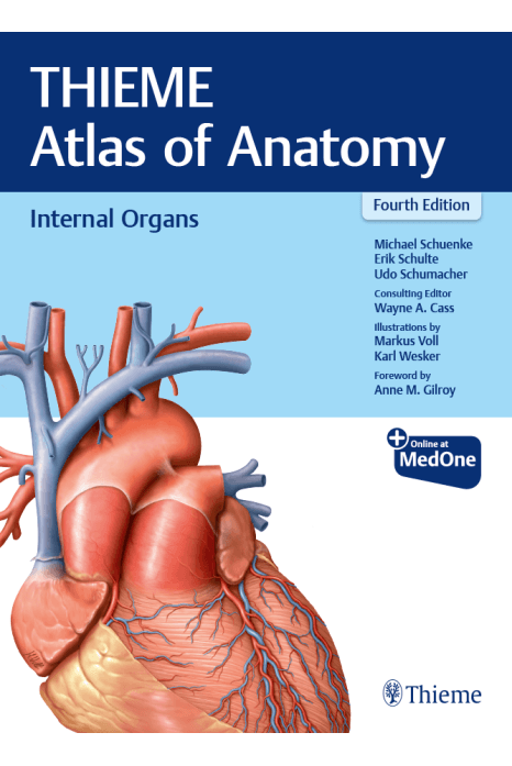 Thieme Atlas of Anatomy: Internal Organs 4th/2025