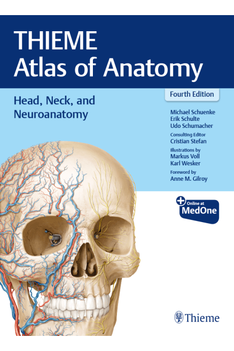 Thieme Atlas of Anatomy: Head, Neck, and Neuroanatomy 4th/2025