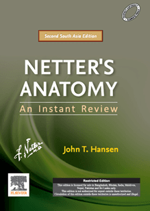 Netter's Anatomy: An Instant Review 2nd SAE/2019