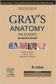 Grays Anatomy For Students: An Instant Review 4th/2020