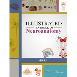 Illustrated Textbook of Neuroanatomy 1st/2013