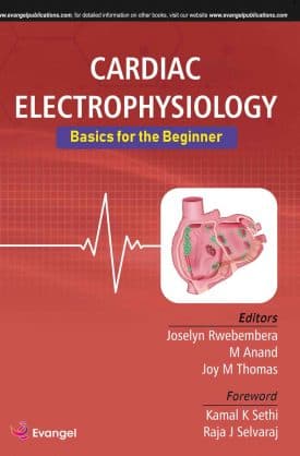 Cardiac Electrophysiology: Basics for the Beginner 1st/2020