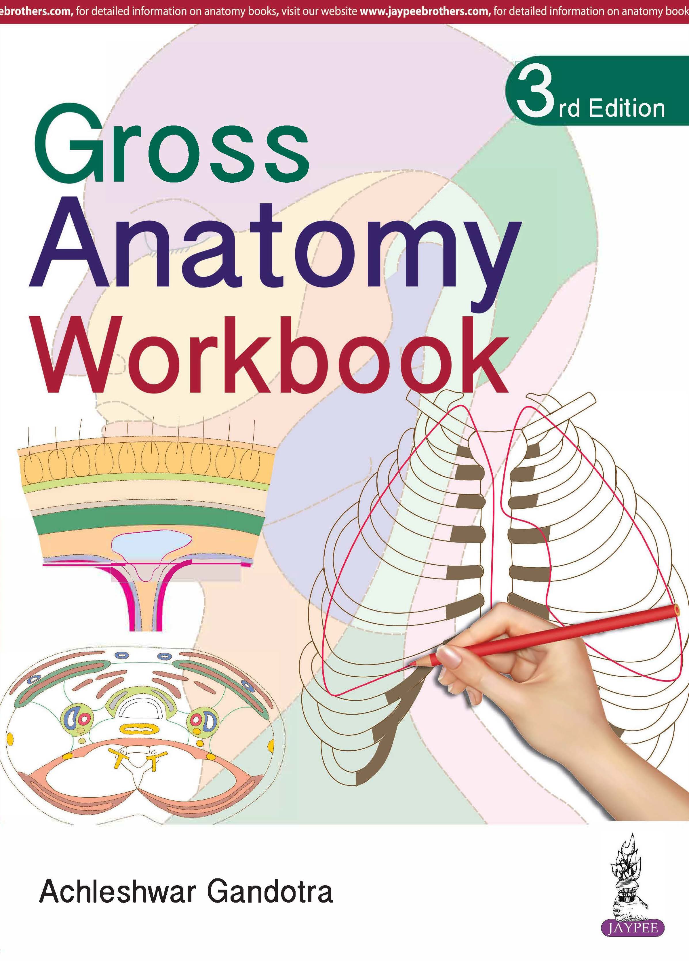 Gross Anatomy Workbook 3rd/2019