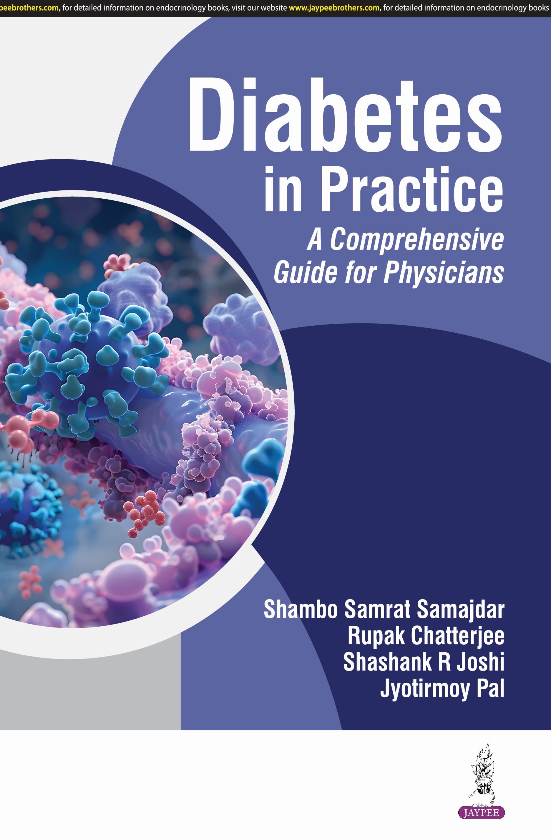 Diabetes in Practice: A Comprehensive Guide for Physicians 1st/2025