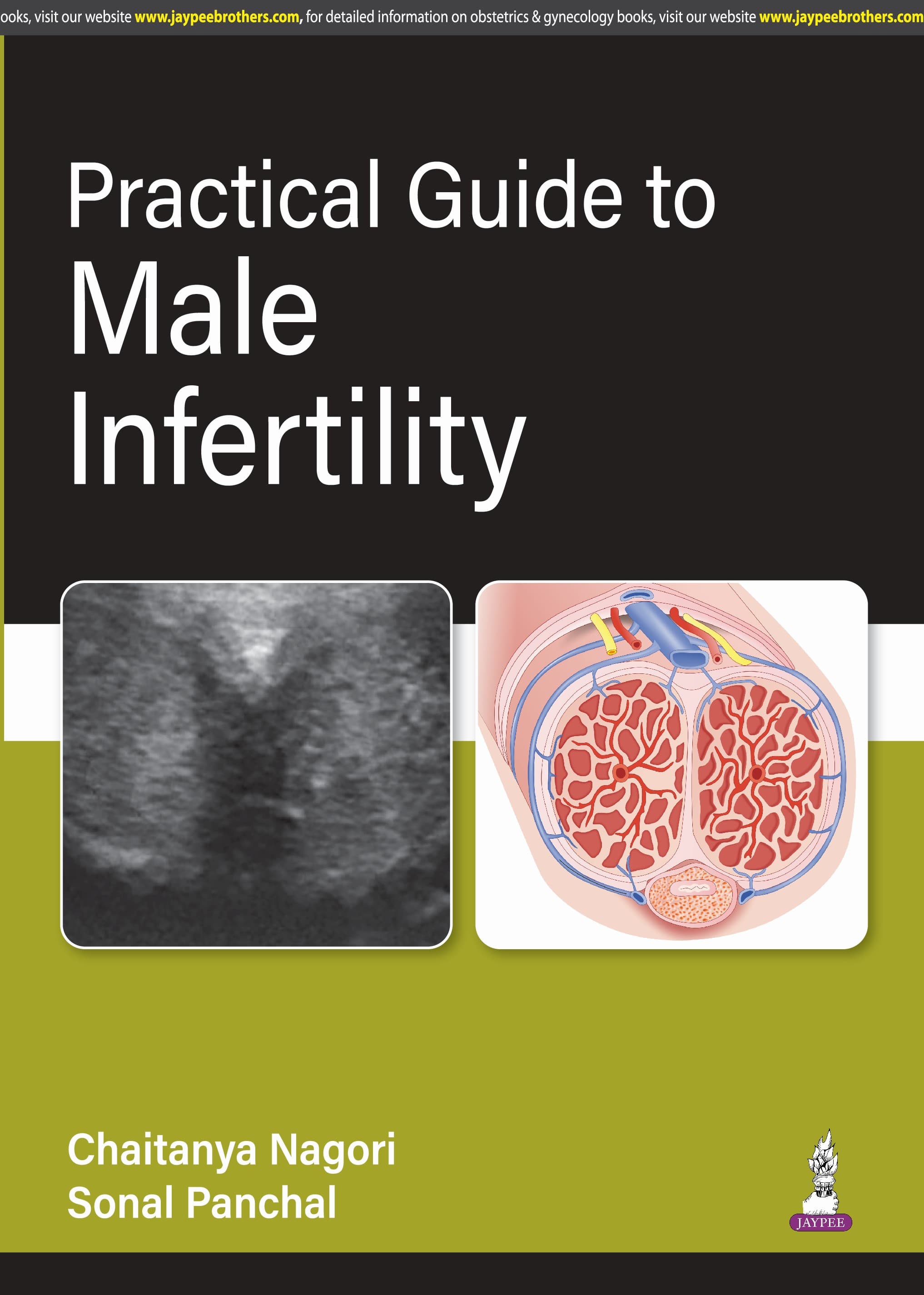 Practical Guide to Male Infertility 1st/2025