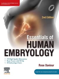 Essentials of Human Embryology 2nd/2024