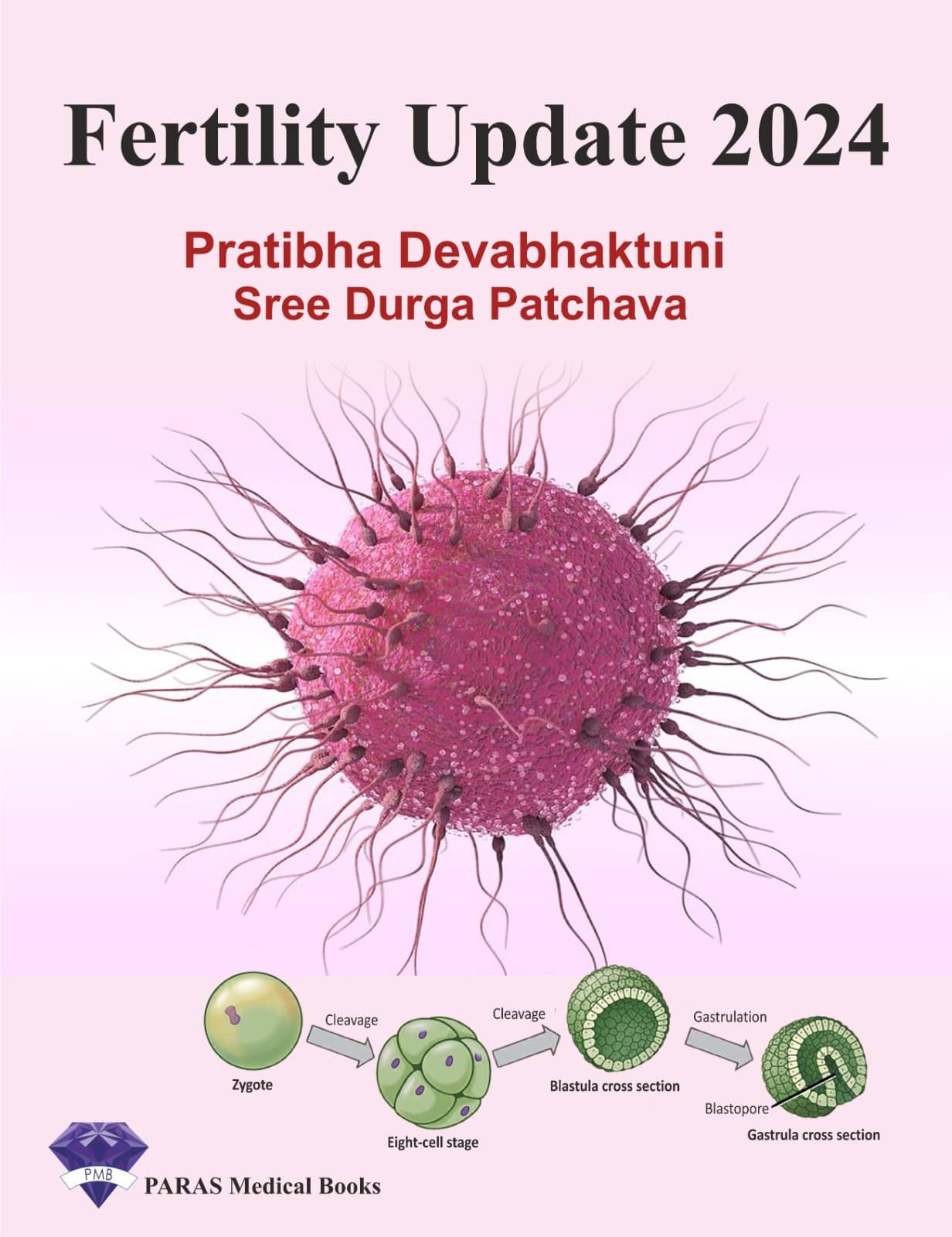 Fertility Update 2024 1st/2025